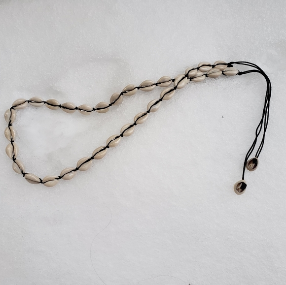 Vintage African Cowry Shell Money Belt From the Republic of the Congo - Picture 5 of 6